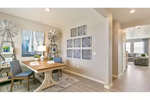 5628 Gelbray Pl, Windsor, CO 80528 - Photo 9