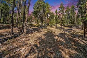 231 Granite Dr, Drake, CO 80515 - Photo 1