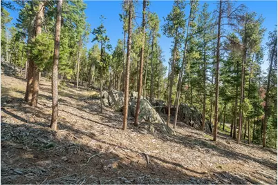 231 Granite Dr, Drake, CO 80515 - Photo 9