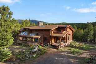 2200 Cr-103, Nederland, CO 80466 - Photo 1