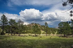 10 Manhead Mountain Dr, Livermore, CO 80536 - Photo 25