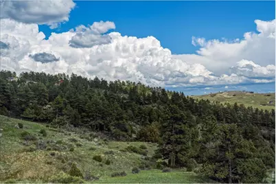 285 Guardian Peak Dr, Livermore, CO 80536 - Photo 29