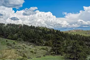 285 Guardian Peak Dr, Livermore, CO 80536 - Photo 29