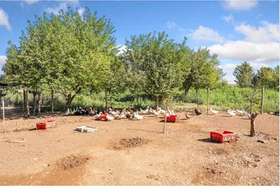 12155 N County Road 15, Wellington, CO 80549 - Photo 19