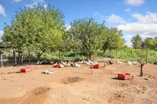 12155 N County Road 15, Wellington, CO 80549 - Photo 19