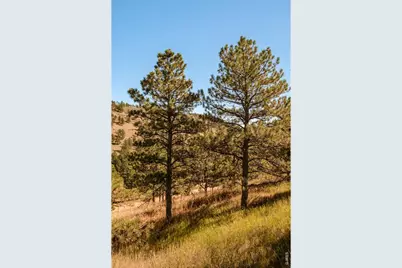 6365 Red Hill Rd, Boulder, CO 80302 - Photo 3