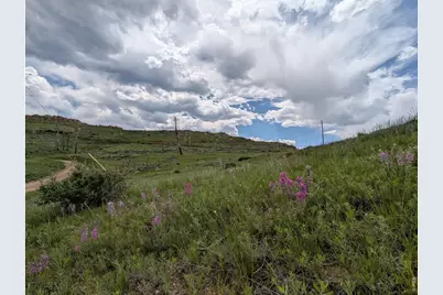 598 Mount McConnell Dr, Livermore, CO 80536 - Photo 3