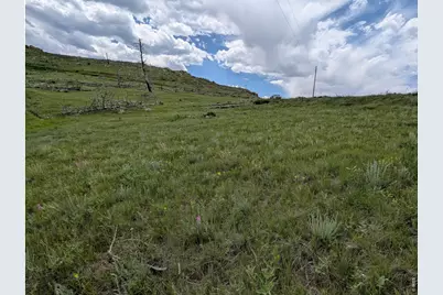 598 Mount McConnell Dr, Livermore, CO 80536 - Photo 5