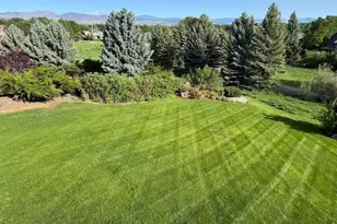 8847 Spring Creek Trail, Niwot, CO 80503 - Photo 5