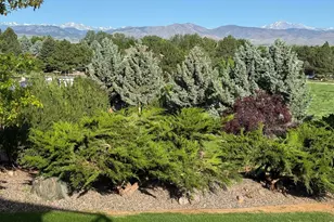 8847 Spring Creek Trail, Niwot, CO 80503 - Photo 47