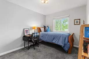 717 10th St, Windsor, CO 80550 - Photo 27