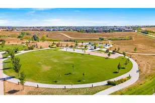 5506 Evangeline Dr, Windsor, CO 80550 - Photo 37