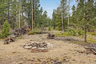 76 Highlands Dr, Bailey, CO 80421 - Photo 41