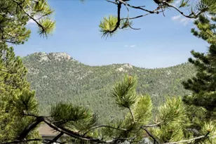 1026 Lexington Ln, Estes Park, CO 80517 - Photo 5
