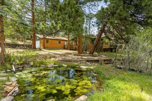 1026 Lexington Ln, Estes Park, CO 80517 - Photo 3