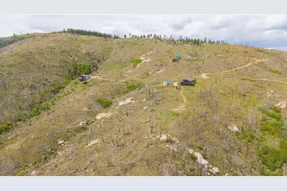 1291 Little Whale Rd, Bellvue, CO 80512 - Photo 41