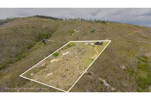 1291 Little Whale Rd, Bellvue, CO 80512 - Photo 39