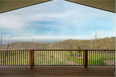1291 Little Whale Rd, Bellvue, CO 80512 - Photo 35