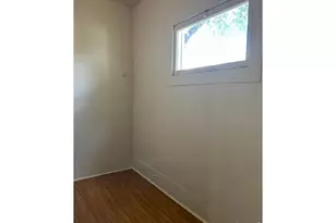 221 Walnut St, Windsor, CO 80550 - Photo 19