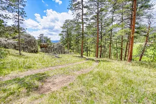 2365 Storm Mountain Dr, Drake, CO 80515 - Photo 33