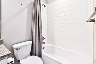 2104 Gather Ct, Windsor, CO 80550 - Photo 21