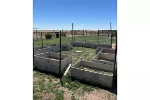 47854 Co Rd 86, Briggsdale, CO 80611 - Photo 11