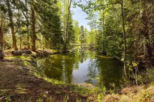 1649 Lump Gulch Rd, Black Hawk, CO 80422 - Photo 29