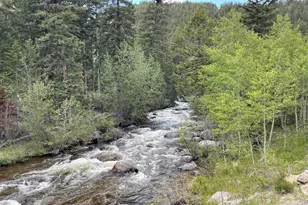 450 Peaceful Valley Rd, Lyons, CO 80540 - Photo 7