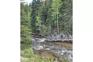 450 Peaceful Valley Rd, Lyons, CO 80540 - Photo 13
