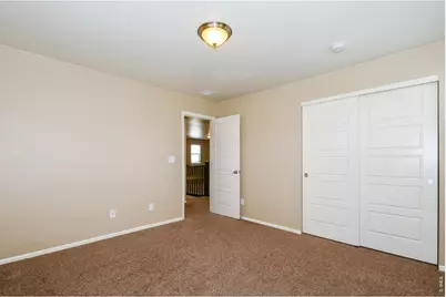 2157 Longfin Dr, Windsor, CO 80550 - Photo 39