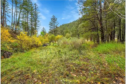 5567 Lefthand Canyon Dr, Jamestown, CO 80455 - Photo 9