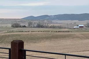 3310 W County Rd 80, Wellington, CO 80549 - Photo 23