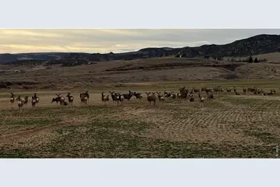 3310 W County Road 80, Wellington, CO 80549 - Photo 33