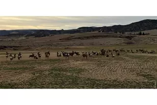 3310 W County Rd 80, Wellington, CO 80549 - Photo 33