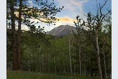 839 Ski Rd, Allenspark, CO 80510 - Photo 33