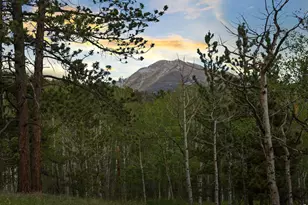 839 Ski Rd, Allenspark, CO 80510 - Photo 33