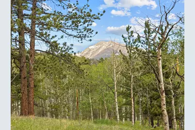 839 Ski Rd, Allenspark, CO 80510 - Photo 7