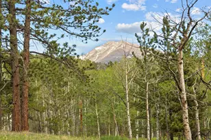 839 Ski Rd, Allenspark, CO 80510 - Photo 7