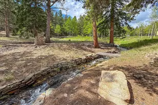 412 Hwy 7 Business, Allenspark, CO 80510 - Photo 3