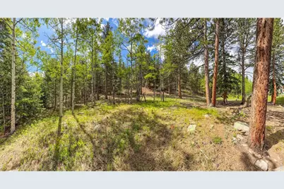 412 Highway 7 Business, Allenspark, CO 80510 - Photo 7
