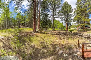 412 Hwy 7 Business, Allenspark, CO 80510 - Photo 11
