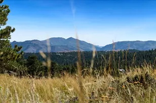 127 Mount Sniktau Ct, Livermore, CO 80536 - Photo 31