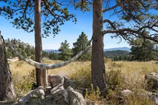 127 Mount Sniktau Ct, Livermore, CO 80536 - Photo 29