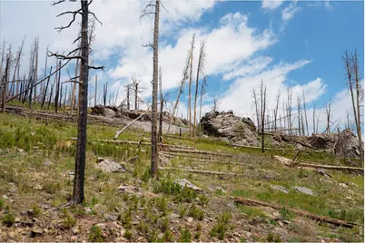 30 Sheep Horn Ct, Bellvue, CO 80512 - Photo 3