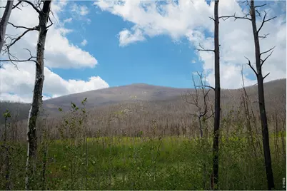 30 Sheep Horn Ct, Bellvue, CO 80512 - Photo 13
