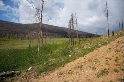30 Sheep Horn Ct, Bellvue, CO 80512 - Photo 7