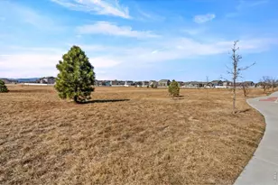 5599 Clarence Dr, Windsor, CO 80550 - Photo 21