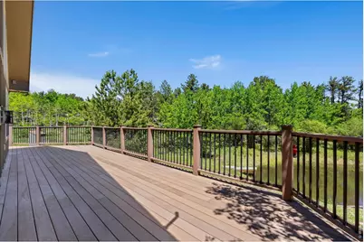 560 Pipsissewa Ln, Red Feather Lakes, CO 80545 - Photo 29