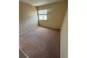 4698 Andes Way, Denver, CO 80249 - Photo 19