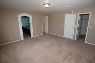 4698 Andes Way, Denver, CO 80249 - Photo 9